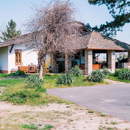 Sun City Vizisport Paradicsom Hódmezővásárhely Eksteriør bilde